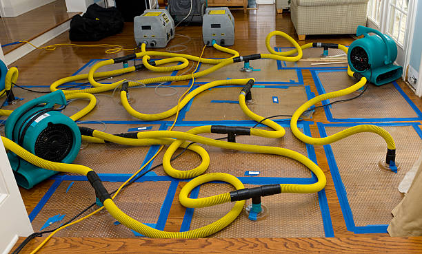 Professional Flood Damage Restoration technician working in Cass City, MI